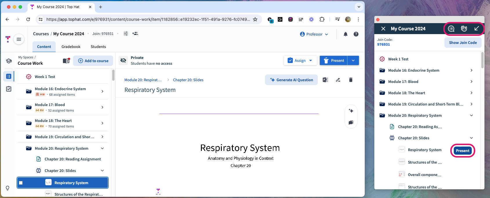 The Presentation Tool floating window appearing alongside a web browser, demonstrating its overlay capability.