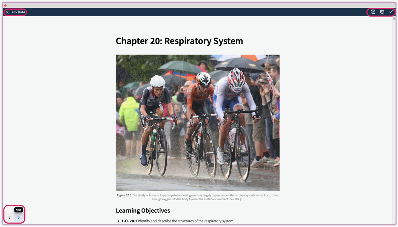 A full-screen view of the Presentation Tool overlaying a presentation slide with navigation controls visible.