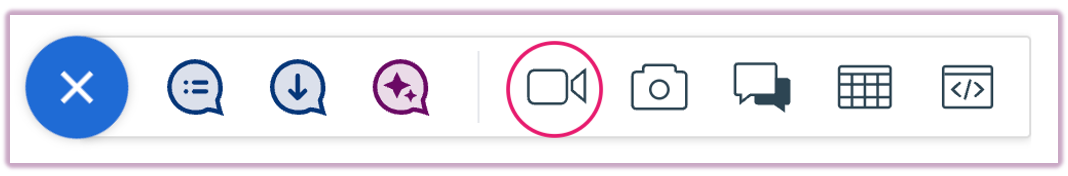 The interactive elements toolbar with the video camera icon highlighted.
