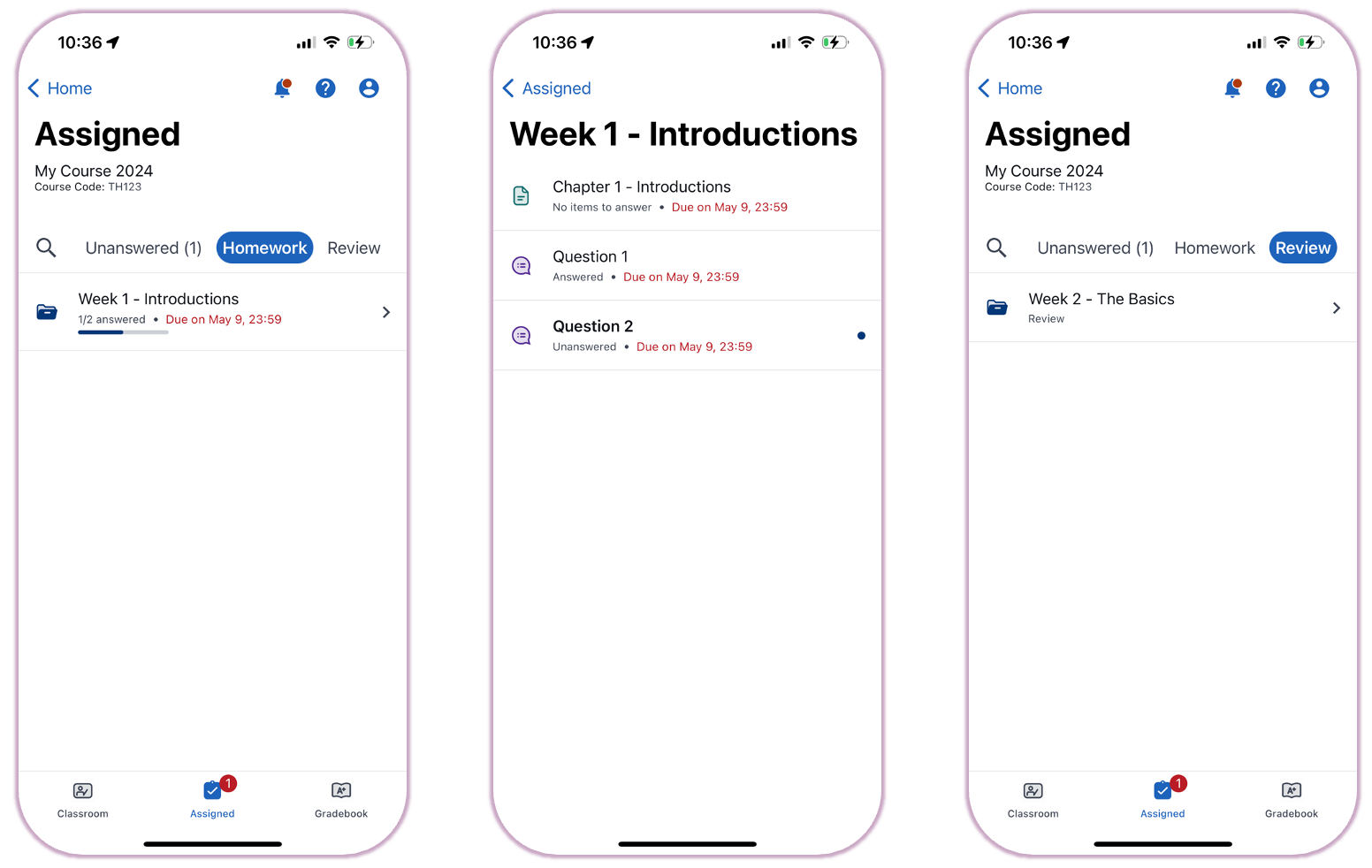 iPhone screens showing the Homework tab, a specific chapter with pending questions, and folders containing content in Review mode.