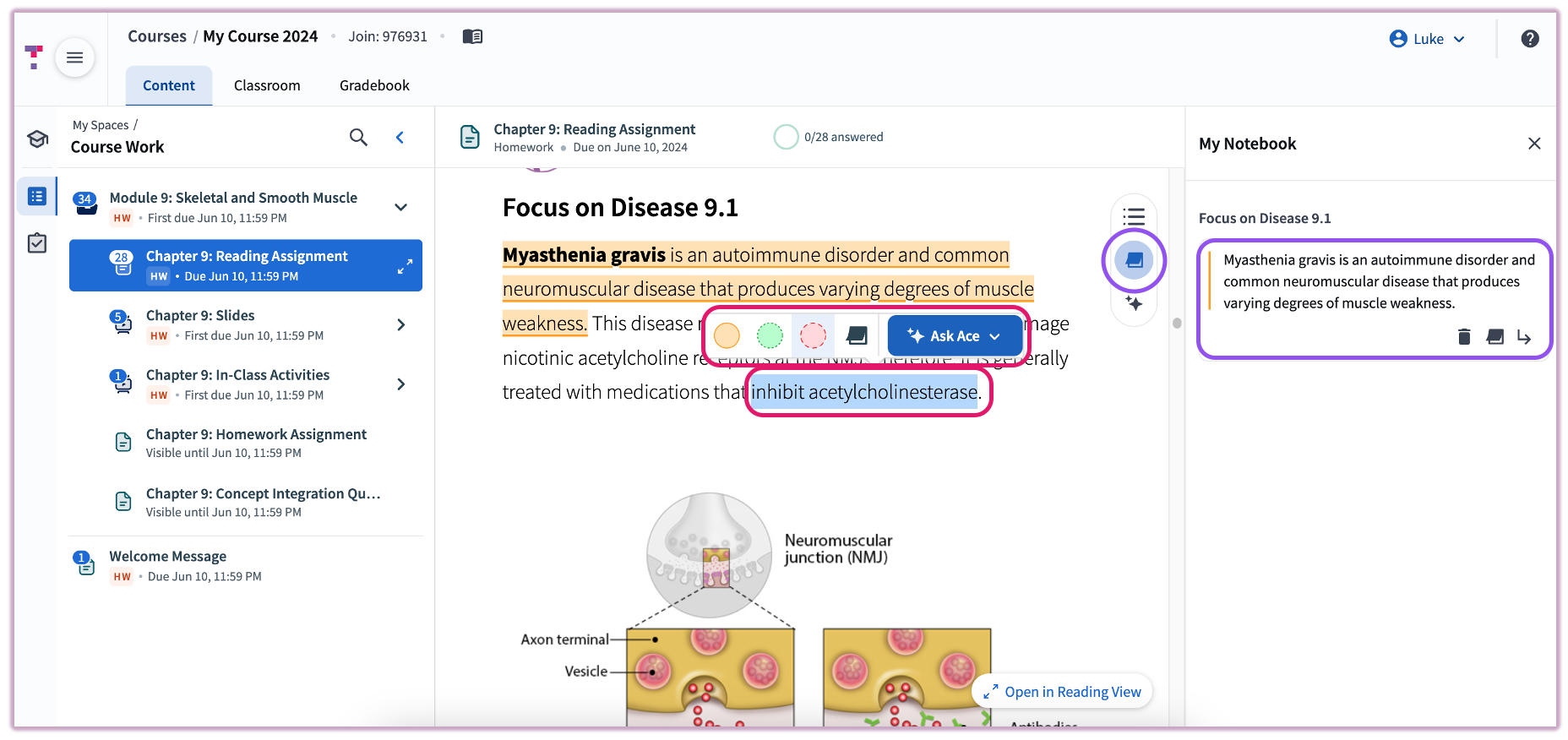 The highlighting toolbar appearing over selected text, showing options for colors and Top Hat Ace AI features.