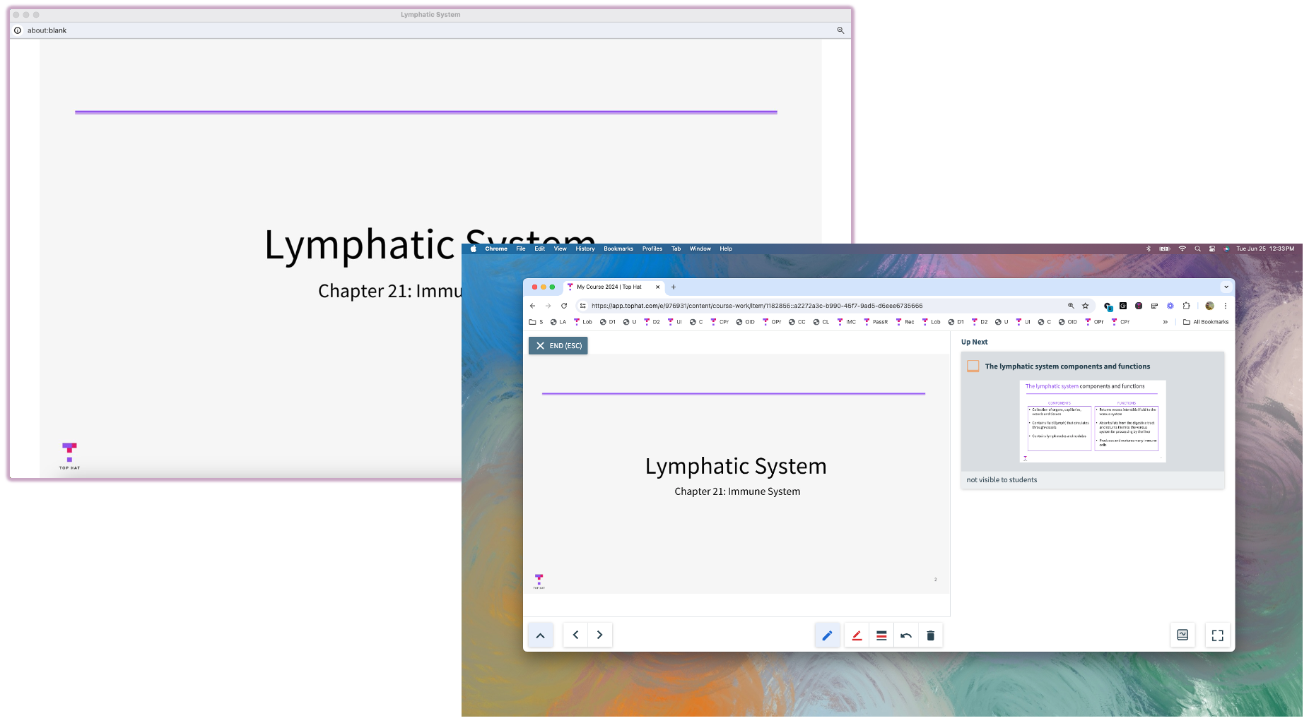A dual-window setup: one window displays the student-facing slide, while the second window shows educator notes and real-time student response data.