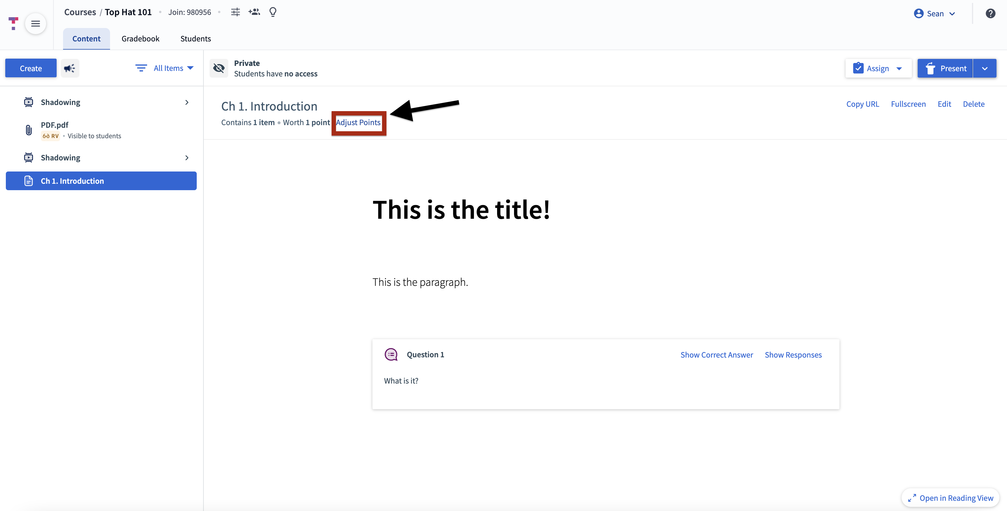 [Adjust Points window allowing the instructor to override the default grade weight for a Page]