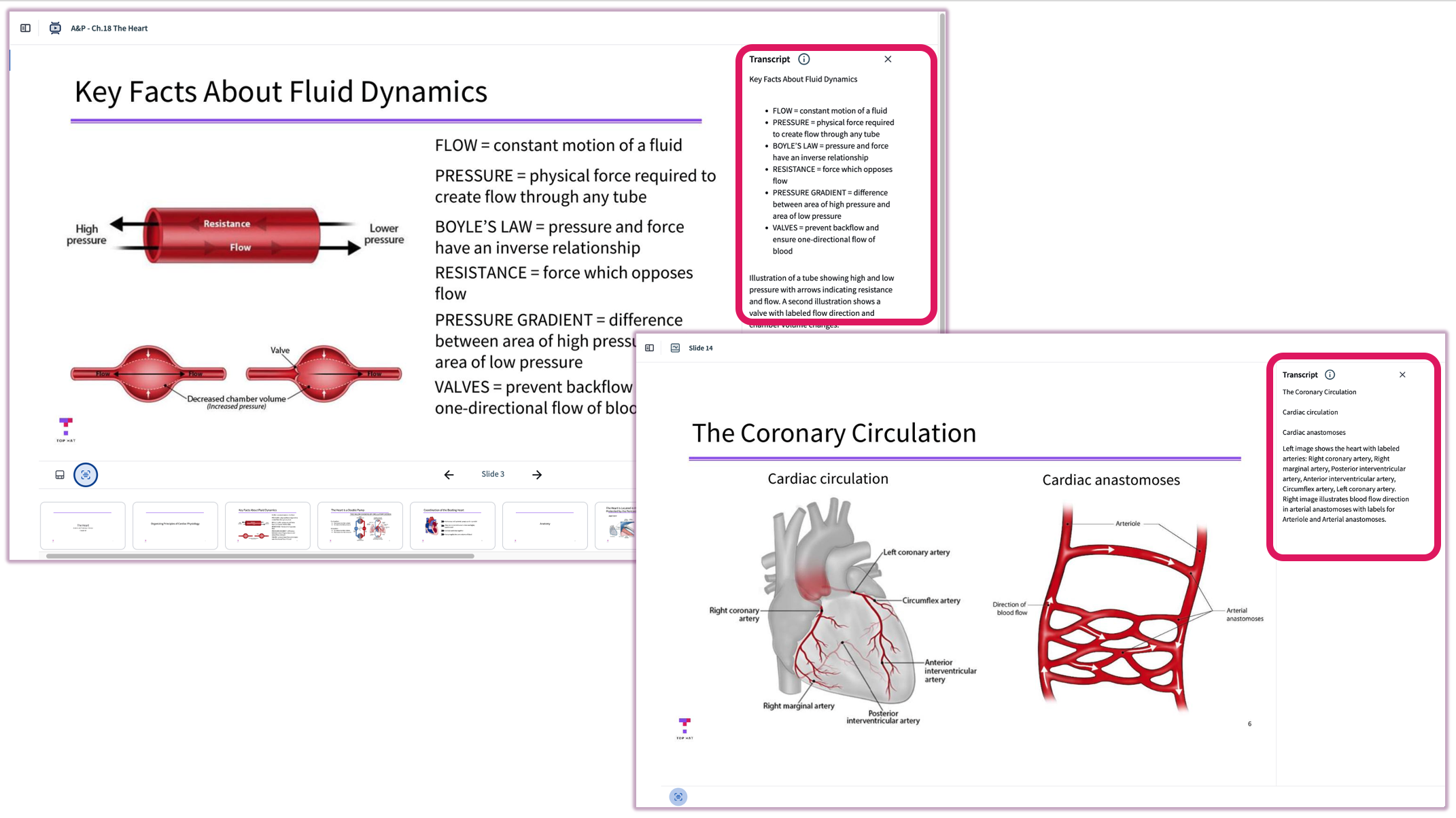[Student view of slide transcripts displayed alongside a folder of slides]
