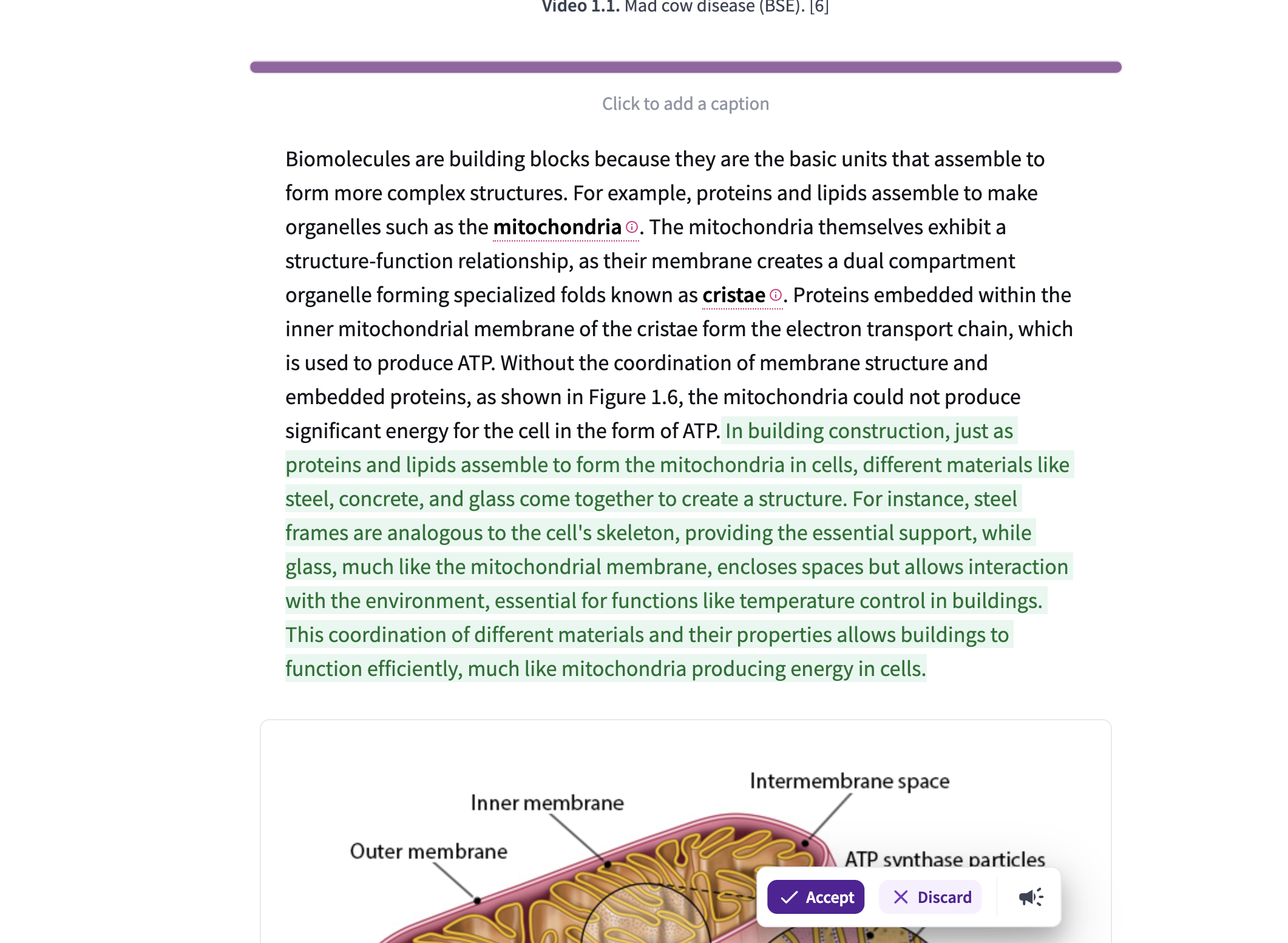 The page editor showing an AI-generated analogy highlighted in green with buttons to "Accept" or "Discard" the addition.