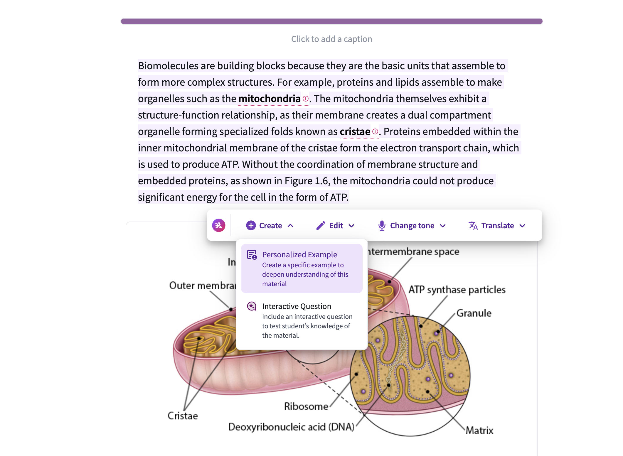 A "track changes" view in the editor showing an AI-generated French translation alongside the original English text, with buttons to accept or discard the update.