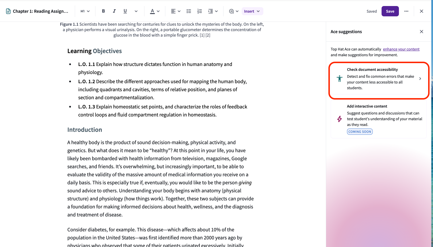 The "Check document accessibility" tool located within the Ace suggestions sidebar of the content editor.