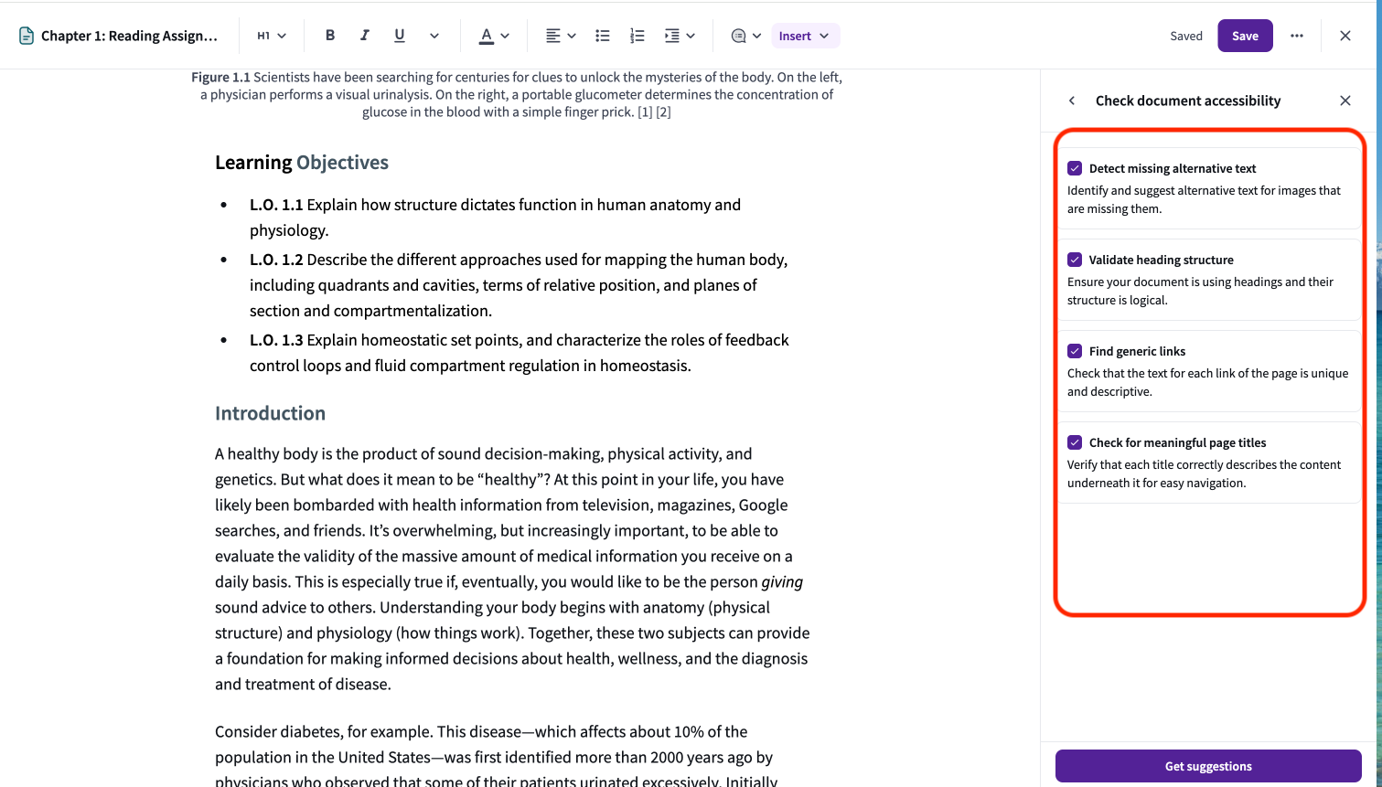 The configuration panel for the accessibility checker, showing options for alt text, headings, links, and page titles.