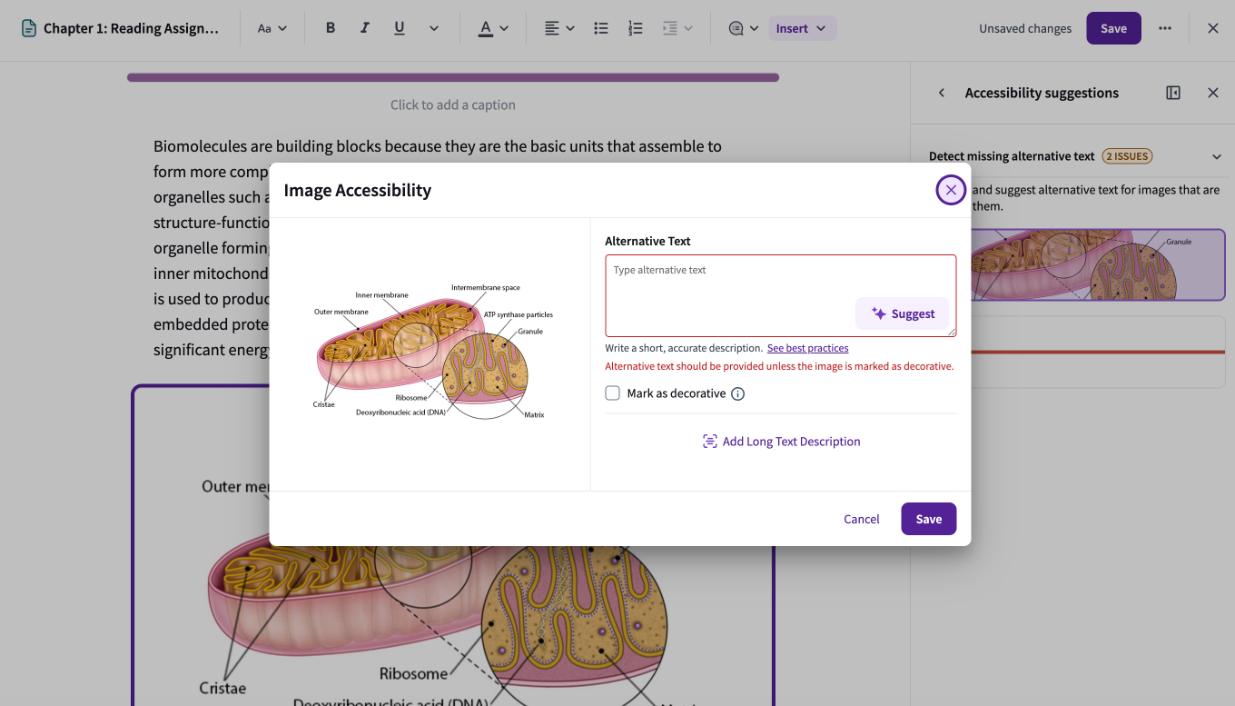 The image accessibility tool showing an anatomical diagram alongside a text input field and an AI suggestion button for generating alternative text.