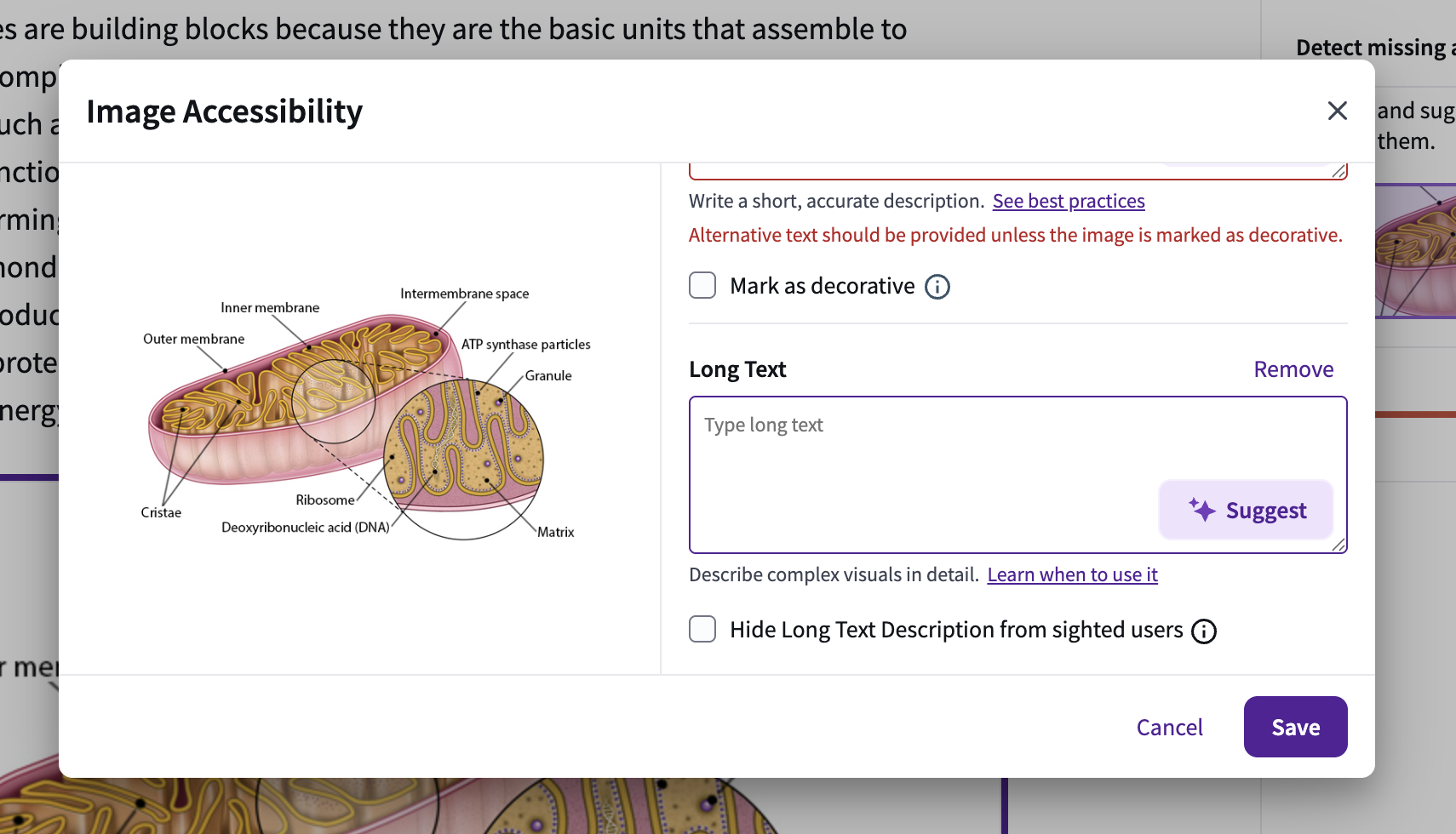 The "Long Text" description interface within the image accessibility tool, featuring an AI suggestion button and a toggle to hide the description from sighted users.